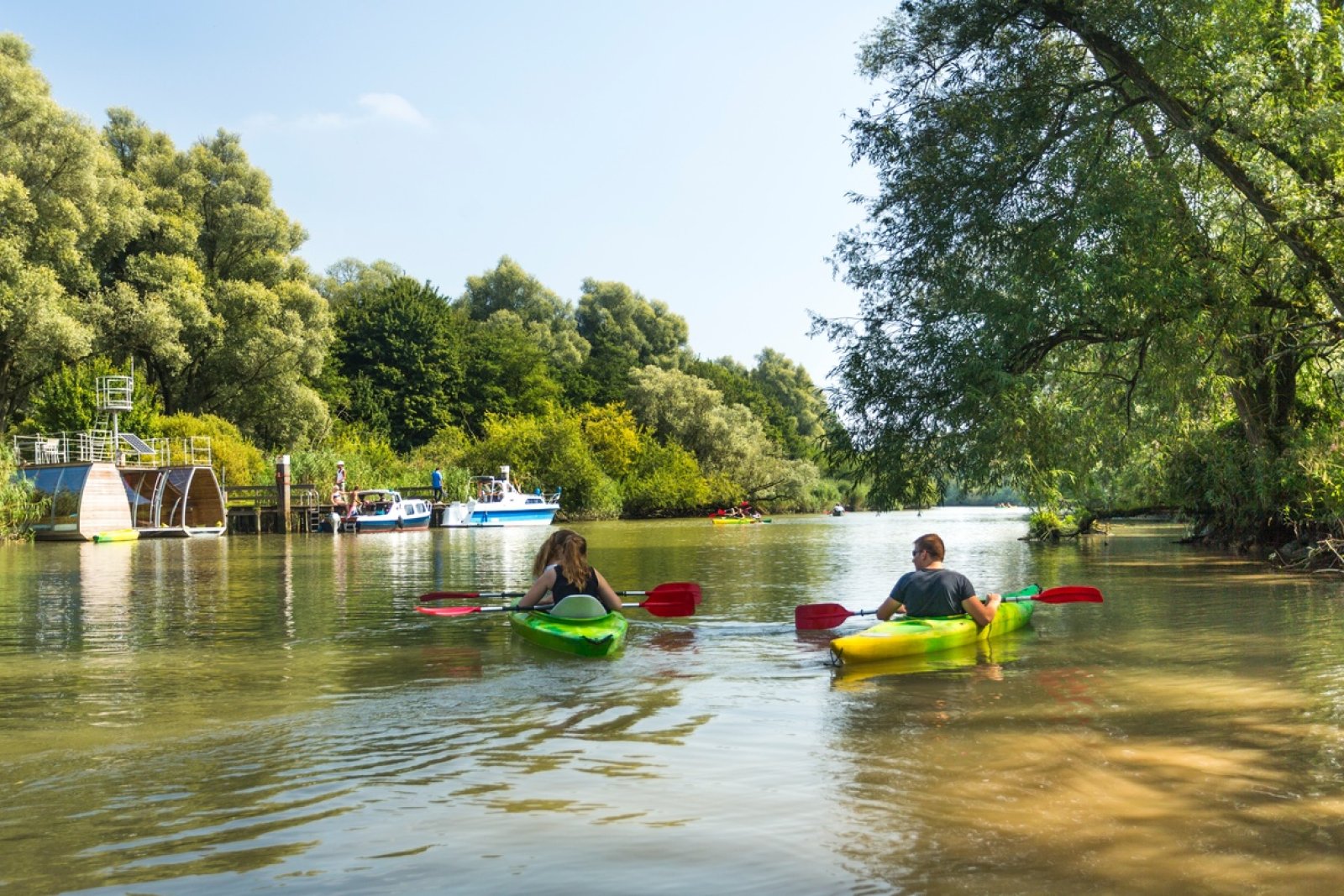 De Biesbosch National Park Holland